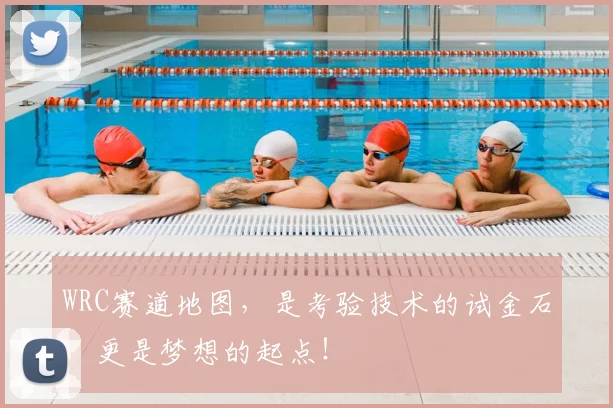 WRC赛道地图,是考验技术的试金石,更是梦想的起点!