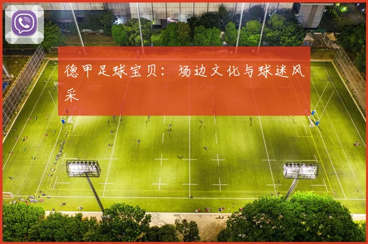 德甲足球宝贝：场边文化与球迷风采