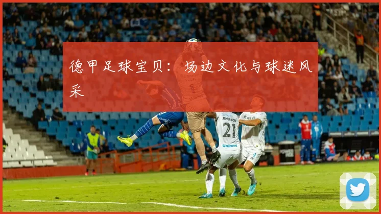 德甲足球宝贝:场边文化与球迷风采